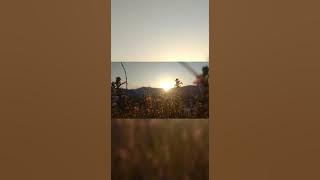 Xaliki puwar Rodali dekhilei // Cover song // Rupjyoti // Mahalaxmi