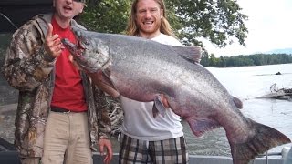 Massive King Salmon Caught Bar Fishing