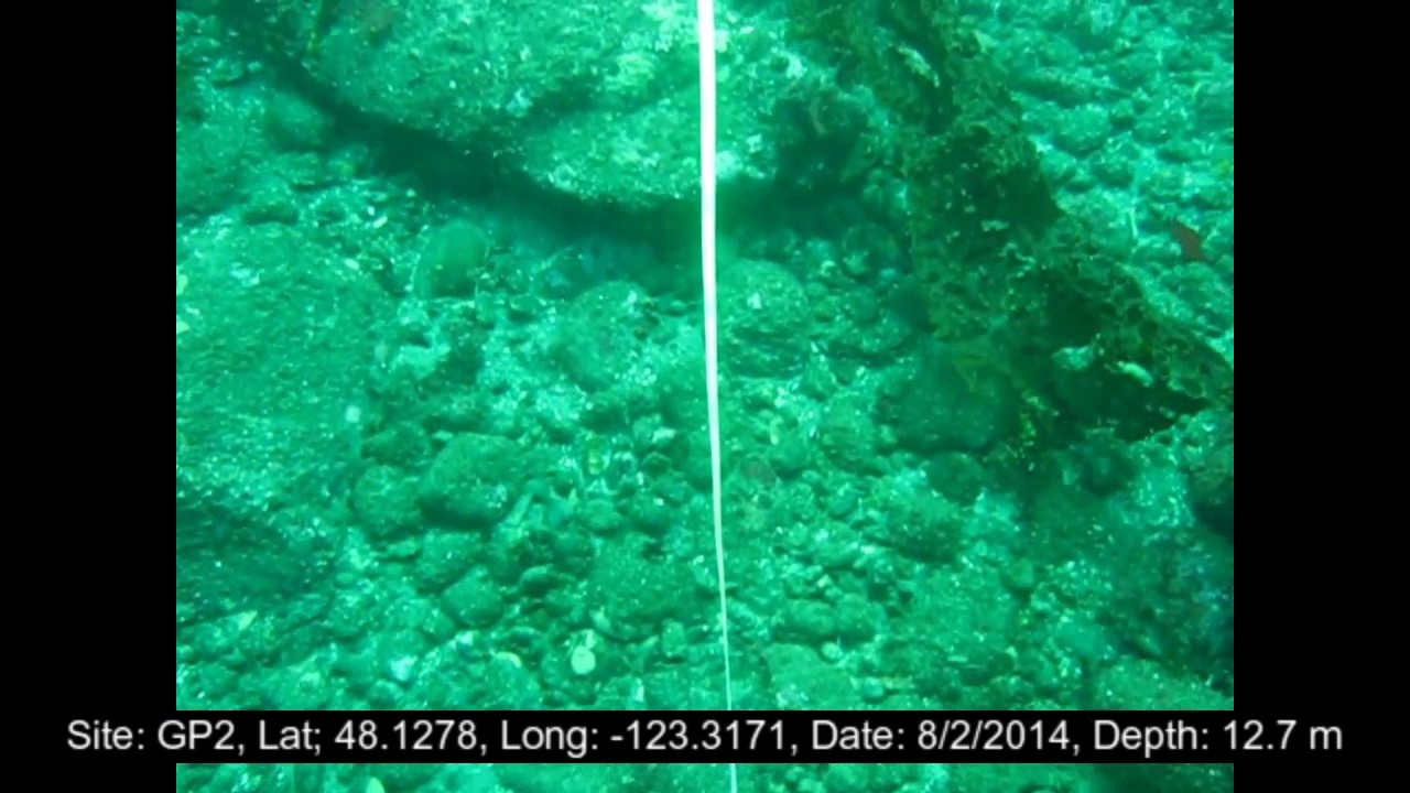 watershed GP2 West Transect – 2014