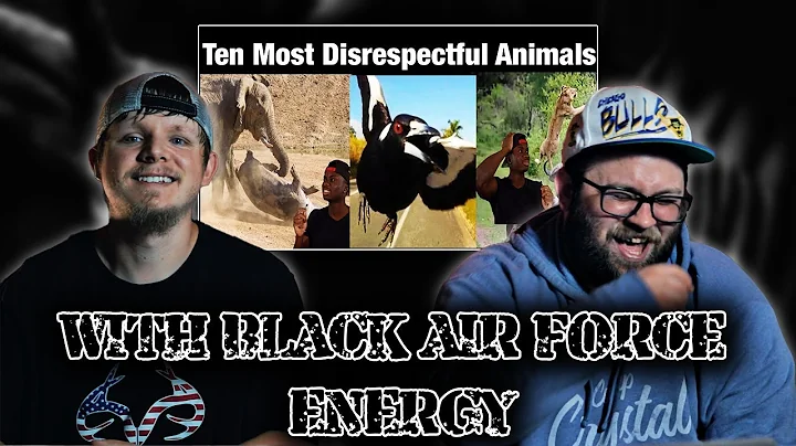 Top 10 Animals with Black Air Force Energy [Reaction]