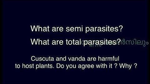 class 5 basic science worksheet 15/7