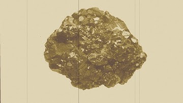 News of the Day - Fool