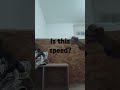 fast punches
