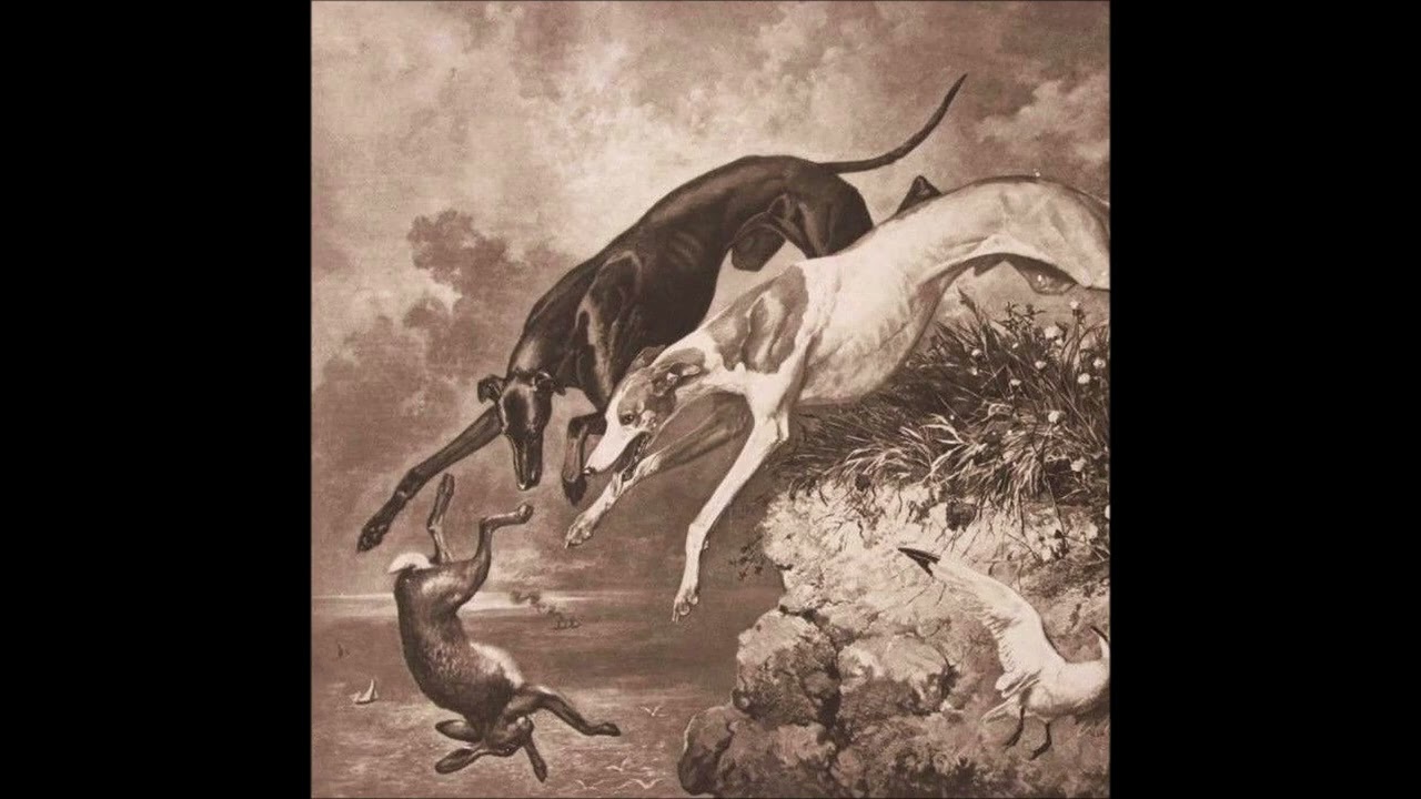 Sleduj Dominus Soul - Let The Hunt Begin na YouTube Sleduj Dominus Soul - Let The Hunt Begin na YouTube