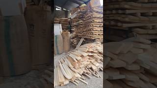 cricket bat's manufacturing factory in jemmu Kashmir 2026 #cricket #bats #manufacturing