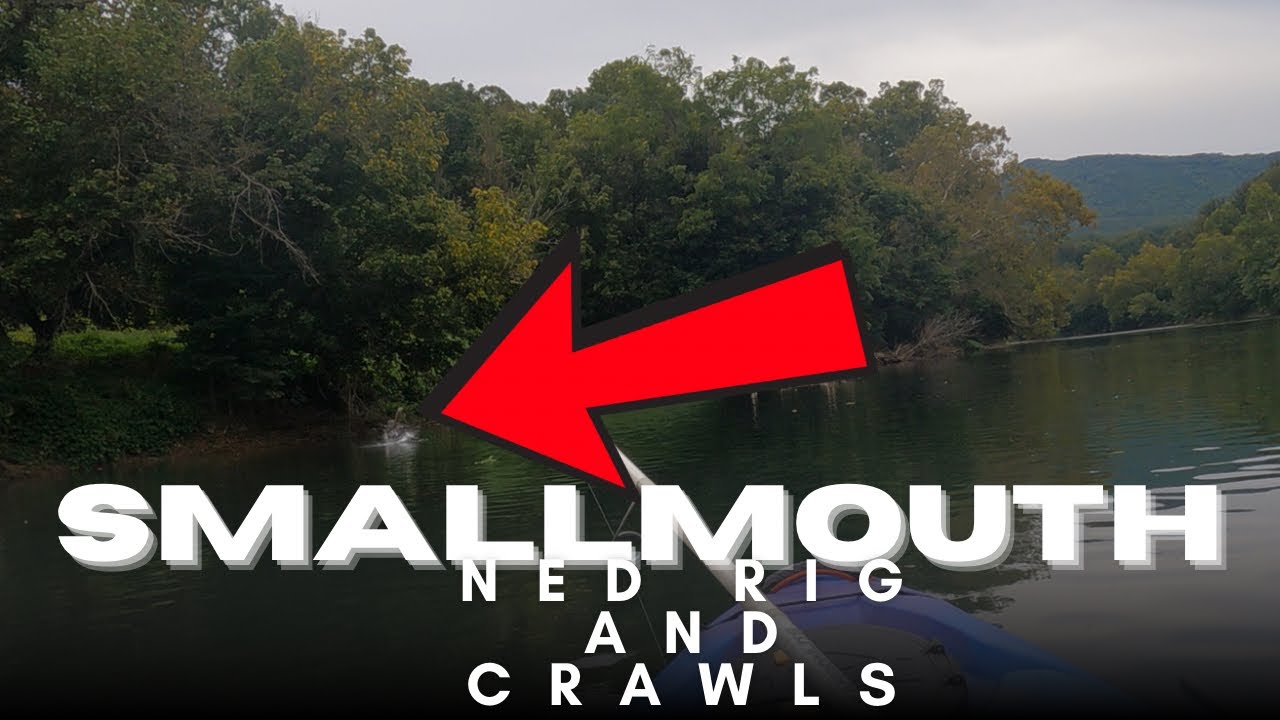 Kayak Smallmouth Bass Fishing at its Finest! #nedrig #shenandoahnationalpark