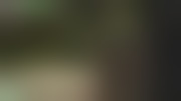 Osrs Ahk Script pking #8 (Read Desc if you want)