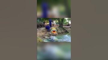 Cá Sấu Của Tôi Đã Trở Nên Rất Xấu #youtube #funny #shortvideo #video #shorts