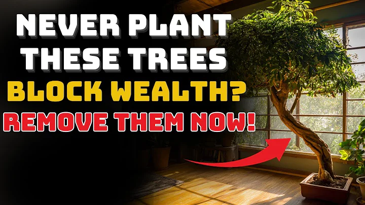 Never Plant These 7 Trees – They Drain Your Luck and Block Wealth Energy | Feng Shui Warning!