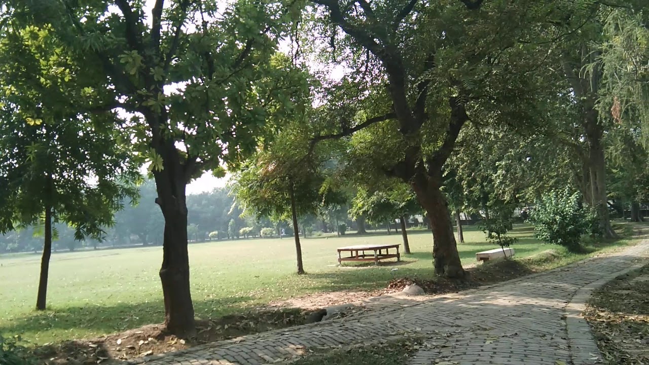 4K HD Relaxation Video with Bird sounds JameSheerin Park Gulberg