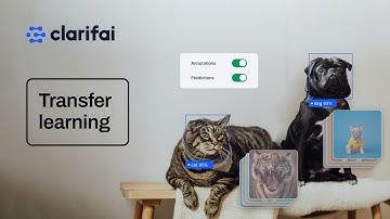 Multimodal AI Magic: Instant Transfer Learning with Text-to-Visual Labeling | Step-by-Step Tutorial