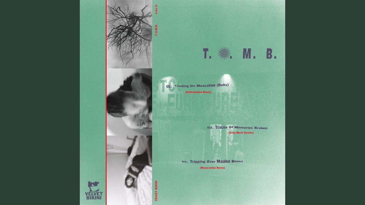 Traces Of Memories Broken (Sans Merit Immaginato)