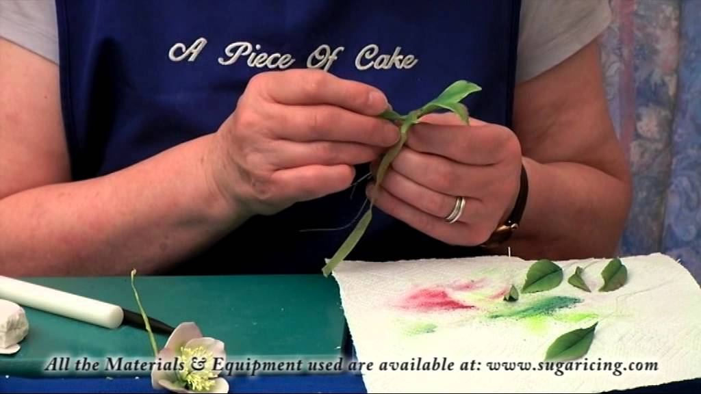 Making a Flower Paste Christmas Rose (Part 2)