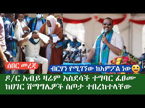 ቪዲዮ: ከአምፖል የሚበቅሉ የዱር አበባዎች፡ አንዳንድ ጥሩ አምፖል የዱር አበቦች ምንድናቸው