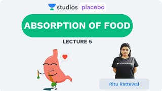 L5: Absorption of Food | Human Physiology (Pre-Medical-NEET/AIIMS) | Ritu Rattewal