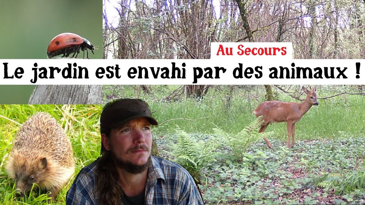 Le jardin se transforme en réserve animalière !