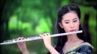 Beautiful Chinese Music【31】Traditional【The Red Plum Blossoms】