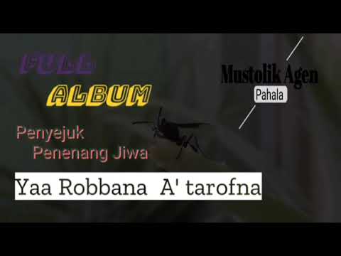 Full Album Penyejuk dan Penenang Jiwa \