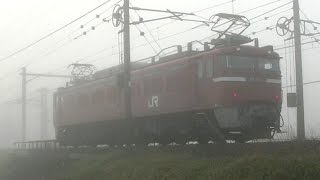 濃霧の中を進むパイチ　EF81 141　単8423ﾚ