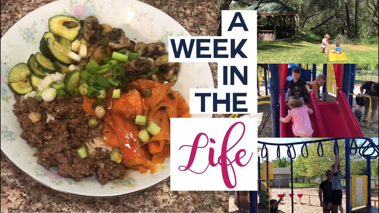 Living the New Dishwasher Life: A Week in the Life of the Balmet Family - 5/7 - 5/13/18