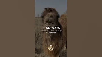إ ذ ا الش م س ك و ر ت 