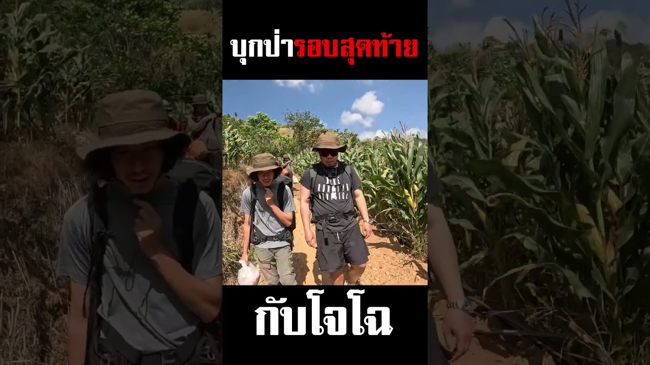 บุกป่ารอบสุดท้ายแล้ว ต้องเอาจริงส่งท้ายพี่โจโฉสักหน่อย! #ดีเจภูมิ #djpoom #คนหัวครัว