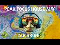 Peak focus for complex tasks house turtle mix with isochronic tones