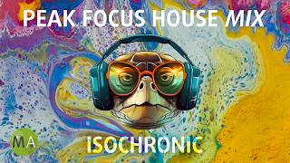 Peak Focus For Complex Tasks House Turtle Mix with Isochronic Tones by Jason Lewis - Mind Amend 553,156 views 5 months ago 3 hours