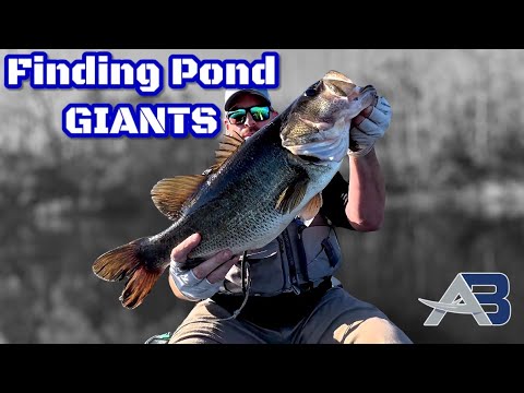 Finding MONSTER Bass in Ponds – Personal Best Largemouth and Lure Testing