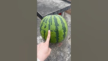 Experiment: Will the watermelon explode when it rolls down in a high-rise building?#shorts