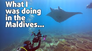 Scuba Diving in the Maldives | Dhangethi Island in the South Ari Atoll