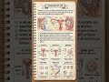 मानव प्रजनन तंत्र 60 सेकंड में | Human Reproductive System Explained 🤯 @science_by_mahi_sir #shorts
