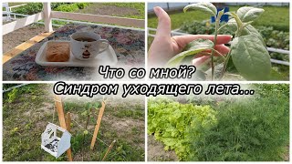 # 135. Со мной такое впервые.. Синдром уходящего лета 😏 Наши 10 соток - загородная жизнь с нуля 2022