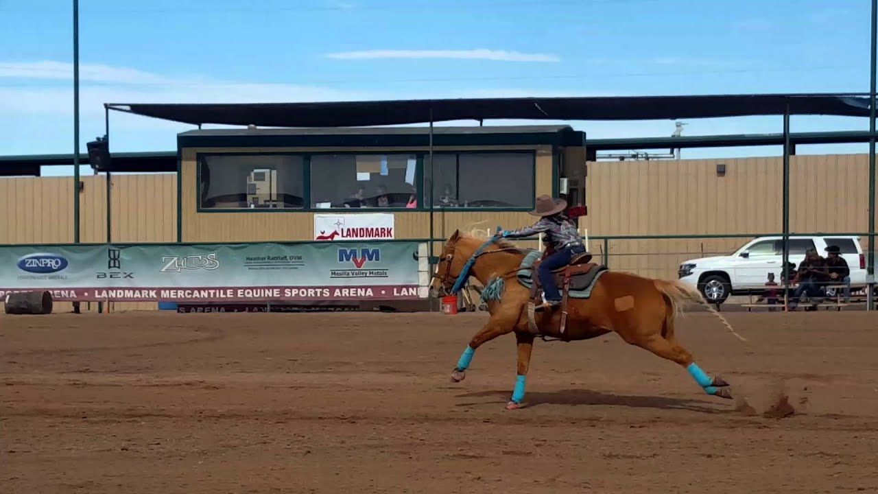 Caydence & Style 1st in flags