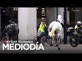 Caballos militares que cabalgaron por londres participan en ceremonias reales  noticias telemundo