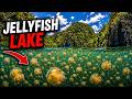 100 Strangest Places and Things You Won't Believe Exist