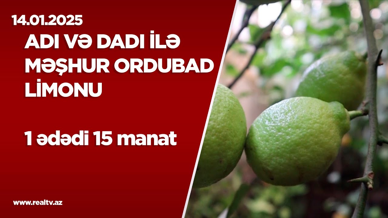 Adı və dadı ilə məşhur Ordubad limonu - 1 ədədi 15 manata..