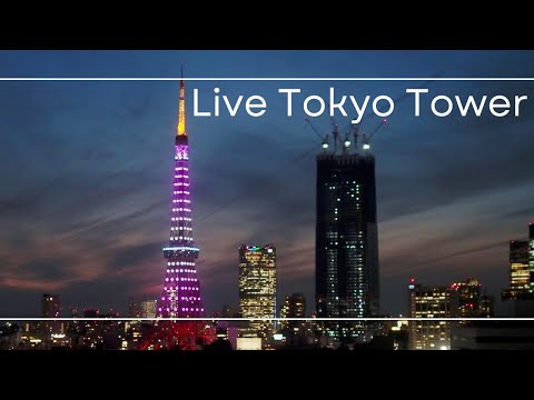 4K LIVE 「桜開花宣言」特別ライトアップの東京タワー /Tokyo Tower and Roppongi Hills and Azabudai Hills 2023.3.14-15