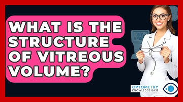 What Is The Structure Of Vitreous Volume? - Optometry Knowledge Base