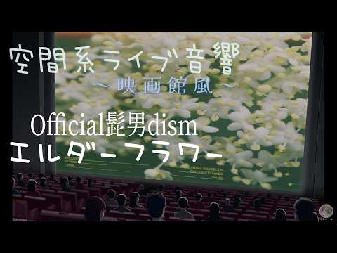 【空間系ライブ音響】 エルダーフラワー Official髭男dism 《映画館風・ヘッドホン推奨》