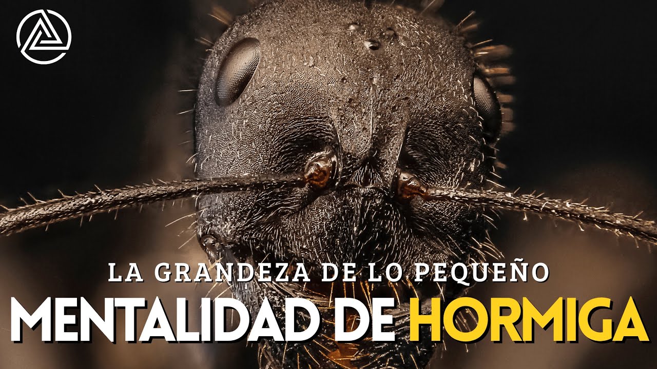 La Mentalidad de Hormiga | Video Motivador | El Poder Oculto de lo Pequeño