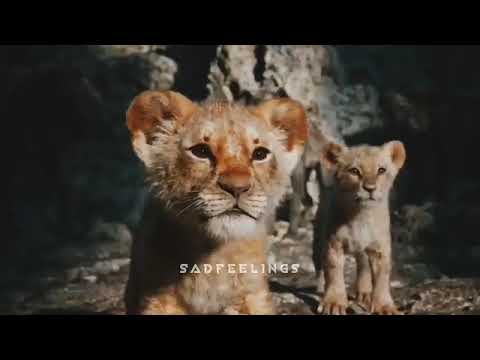 الاب هو سند الظهر 