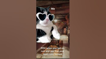 #rust #rustgamen #funny #rustislove #rustconsole #cat #rustgamers #gaming #rustgameplqy