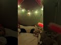 я спать 😴 😴 😴