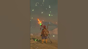 finding a korok every week #zelda #shortvideo #subscribe #botw #nintendo #foryou #shorts