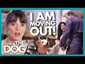 Victoria is Shocked to Arrive While Owner is MOVING OUT! | It's Me or The Dog