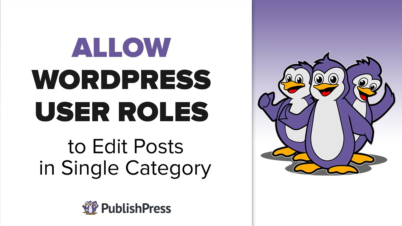 How to Enable WordPress Users to Edit Posts in a Single Category - YouTube