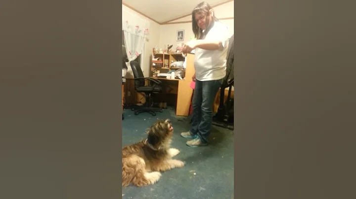 My four legged kids(13)