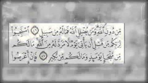 من نوادر مشاري العفاسي تلاوة من آواخر سورة الشورى