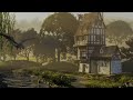 Peaceful Dragon flies past Old Tavern